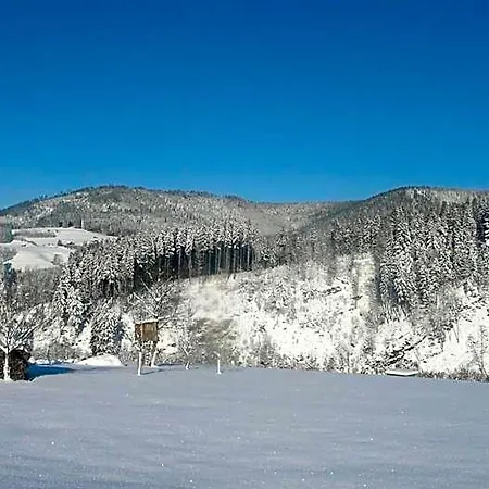 Sackmann Wanderhotel 3* Baiersbronn